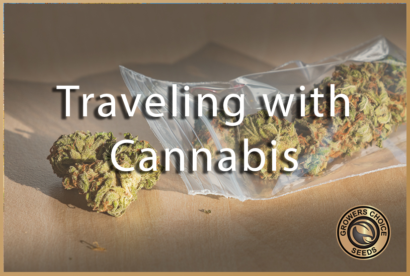 traveling with cannabis
