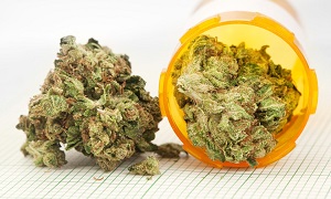 medical cannabis effective in relieving pain