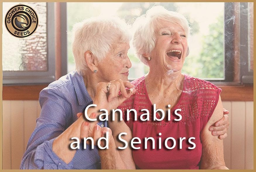 Cannabis and Seniors