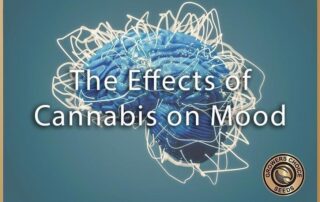The Effects of Cannabis on Mood