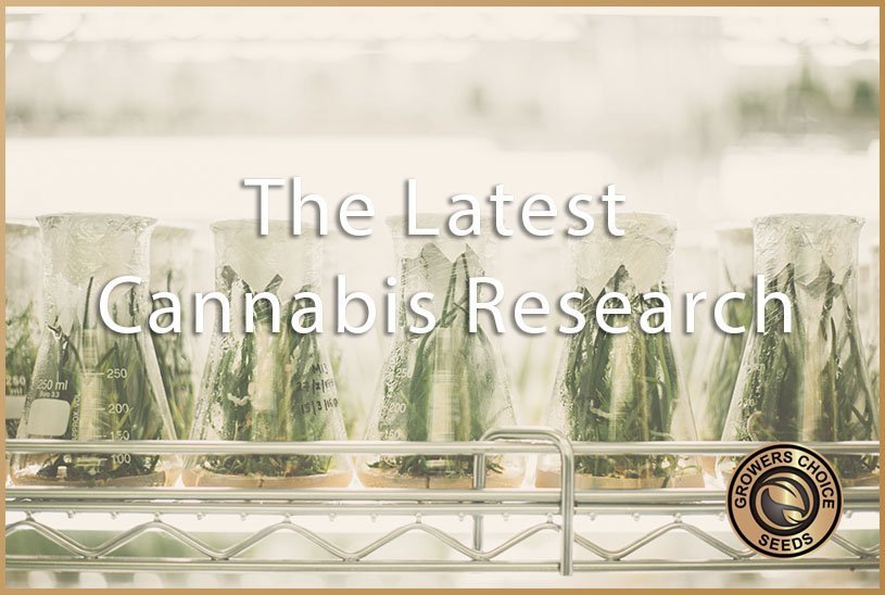 The Latest Cannabis Research