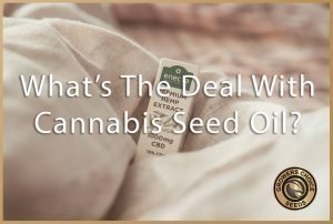 cannabis seed oil