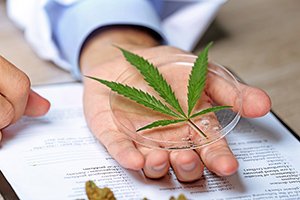 Medical Marijuana in oklahoma