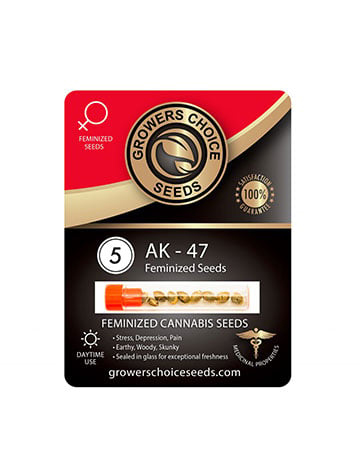 Ak 47 Strain Seeds For Sale Pack 5