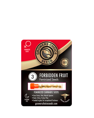 Buy Forbidden Fruit Strain Seeds Pack 3