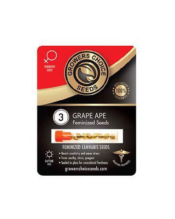 Buy Grape Ape Strain Seeds Pack 3