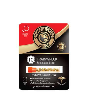 Get Trainwreck Strain Seeds Pack 10