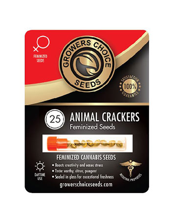 shop for reliable marijuana seeds animal crackers ferminized cannabis seeds 25