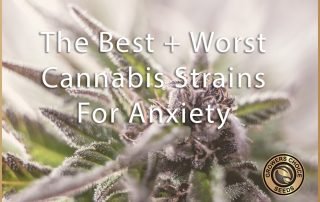cannabis strains for anxiety