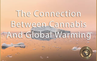 global warming