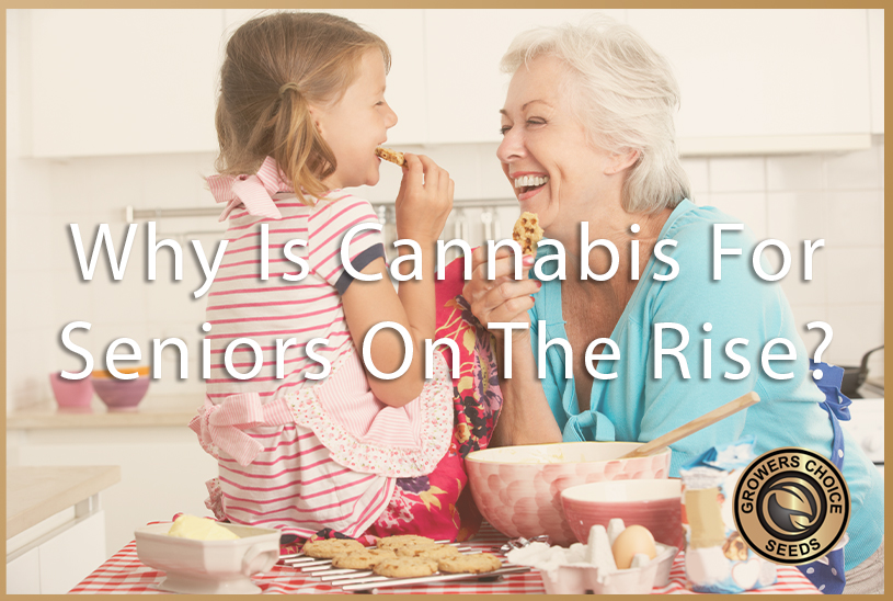 Why Is Cannabis For Seniors On The Rise?