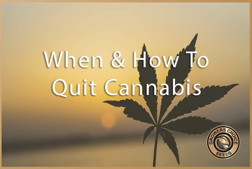 quit cannabis