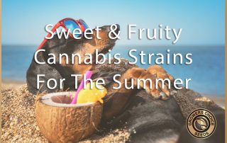 Sweet & Fruity Cannabis Strains