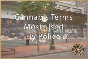 cannabis terms most-used by police