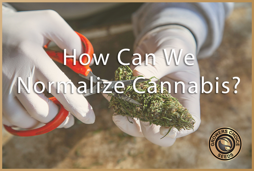 Normalize Cannabis