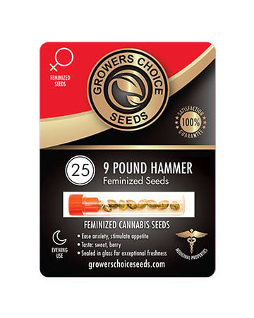 Buy 9lb Hammer Strain Seeds Pack