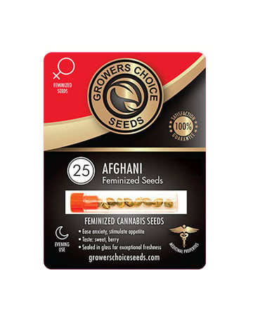 Buy Afghani Strain Seeds Pack 25