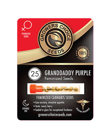 Buy Grand Daddy Purp Seeds Pack