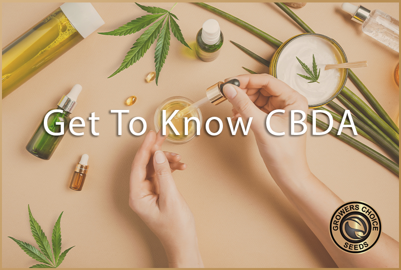 Everything You Need To Know About CBDA