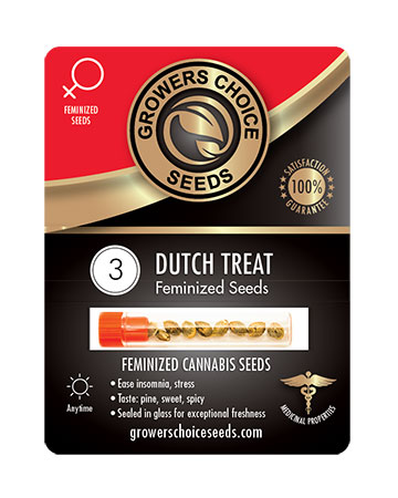 shop-for-reliable-marijuana-seeds-Dutch-Treat-Feminized-Cannabis-Seeds-vancouver-3