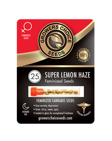 Buy Super Lemon Haze Seeds For Sale Pack 25