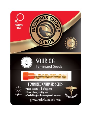 shop Sour OG Feminized Cannabis Seeds kelowna on sale