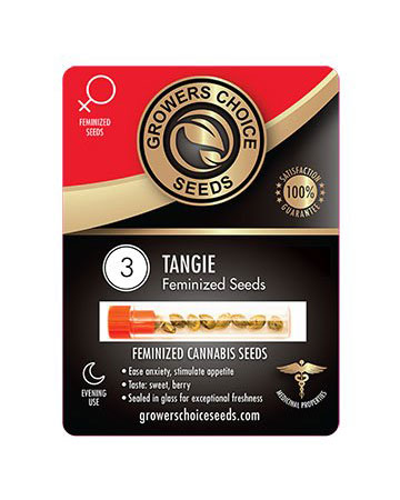 shop-for-reliable-marijuana-seeds-3-tangie