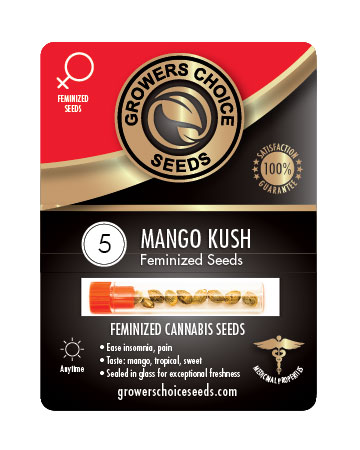 So Mango Auto. Premium Collection Pack 5-seeds pack