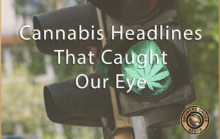 cannabis headlines that caught our eye