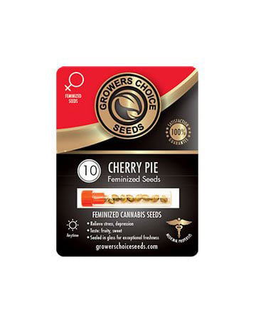 Buy Cherry Pie Strain Seeds Pack 10