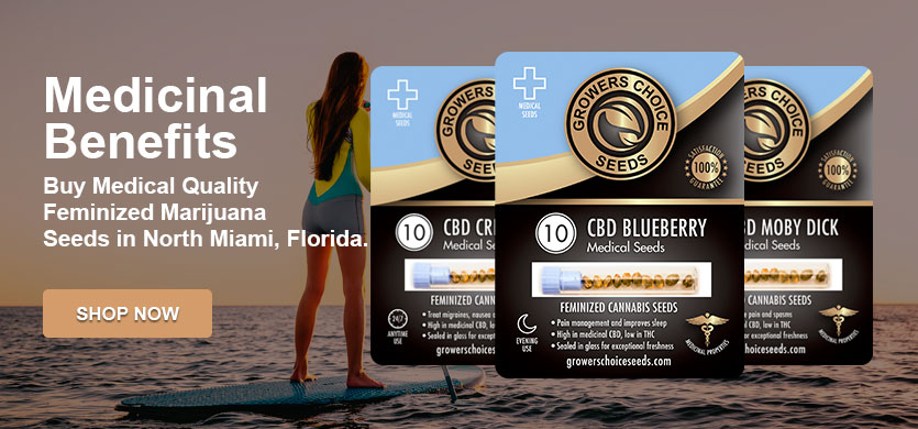 marijuana seeds for sale in North Miami