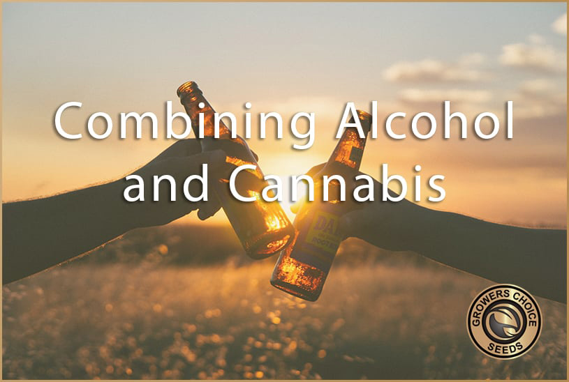 combining alcohol and cannabis