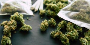 buy Oklahoma Marijuana Seeds for sale