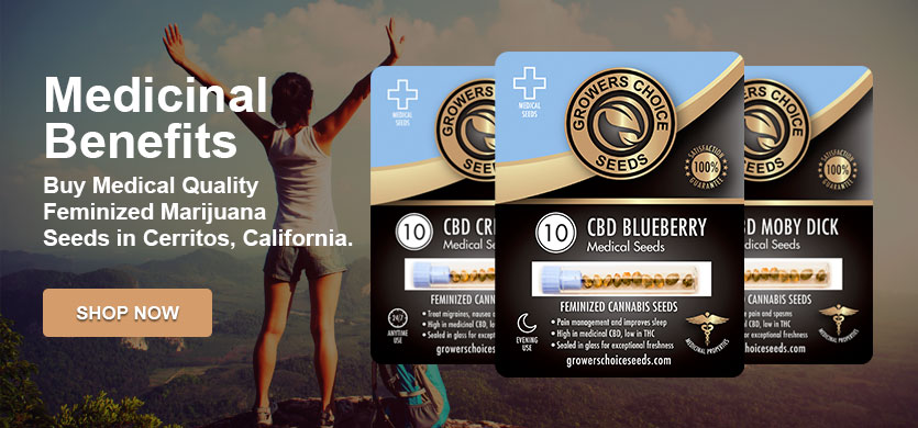 marijuana seeds for sale in Cerritos