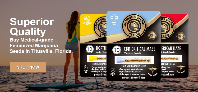 buy marijuana seeds in Titusville