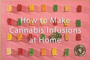 How to make cannabis infusions at home