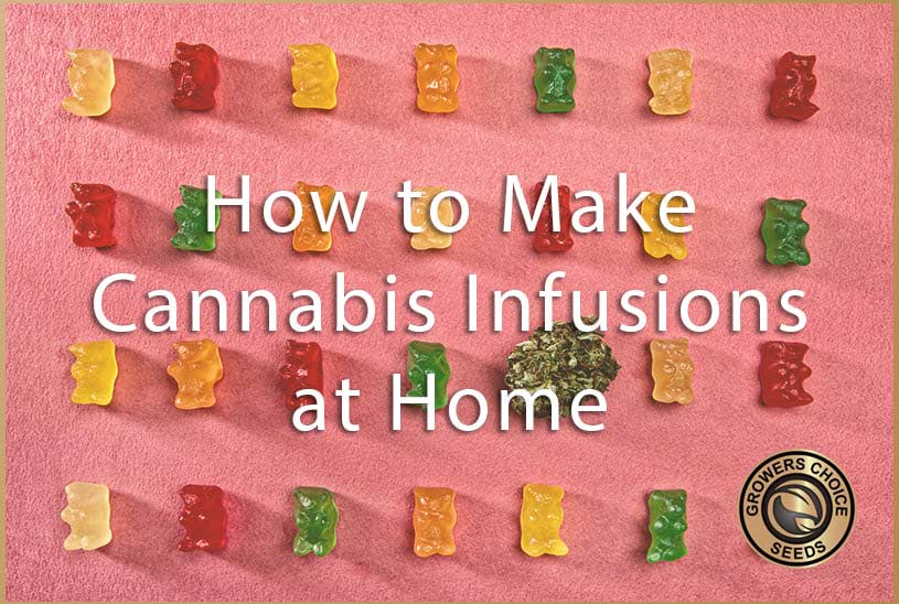 How to make cannabis infusions at home