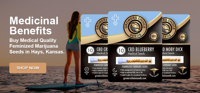 marijuana seeds for sale in Hays