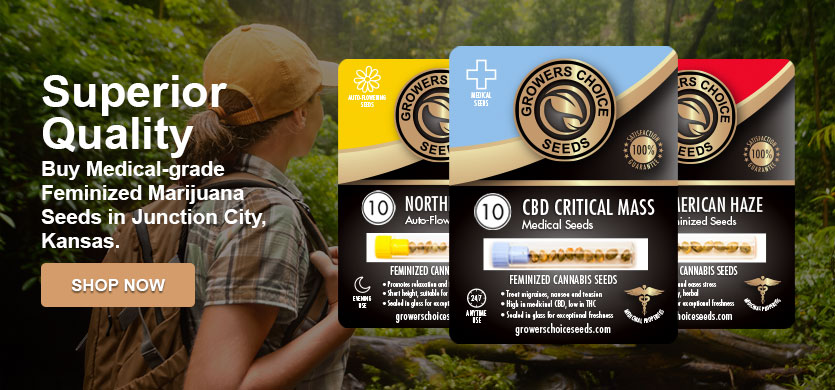 buy marijuana seeds in Junction City
