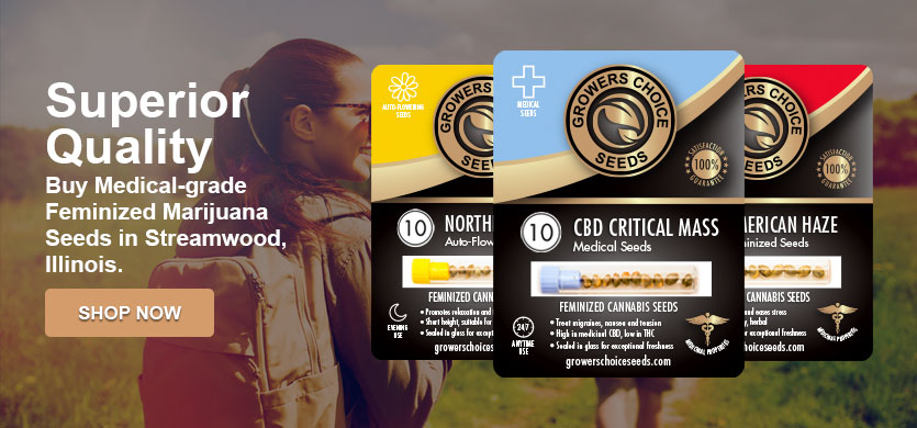 buy marijuana seeds in Streamwood