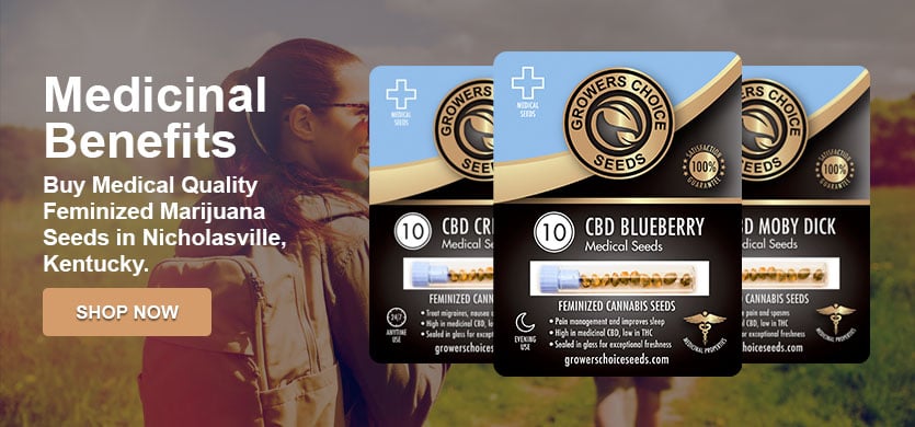 marijuana seeds for sale in Nicholasville