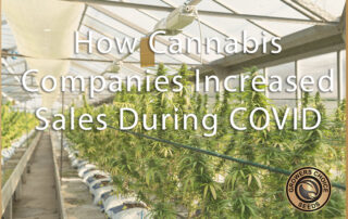cannabis companies