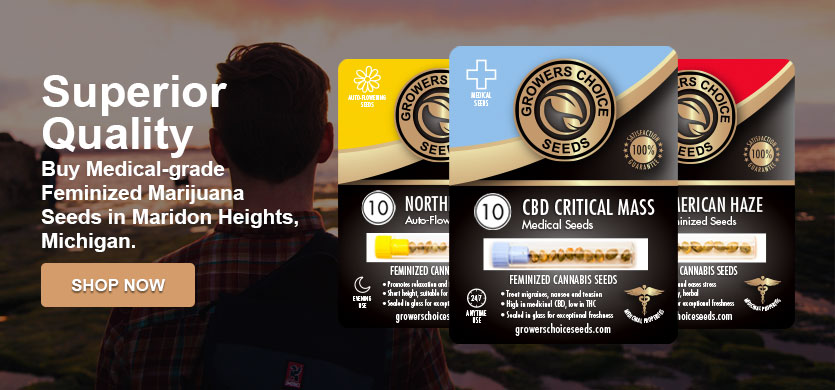 buy marijuana seeds in Madison Heights