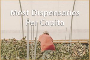 most dispensaries per capita