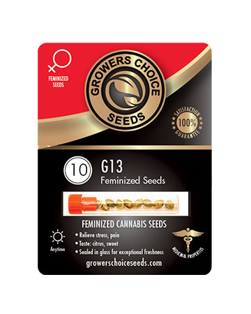 shop-for-reliable-marijuana-seeds-G13-Feminized-Cannabis-Seeds-10