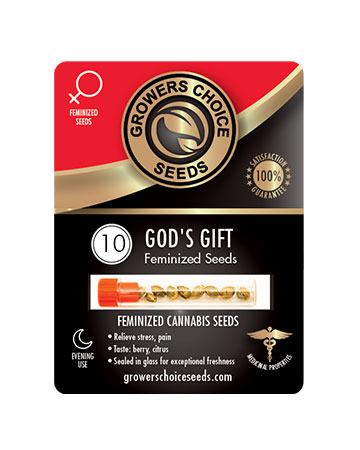 shop-for-reliable-marijuana-seeds-Gods-Gift-Feminized-Cannabis-Seeds-10