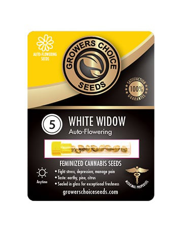 Buy White Widow Autoflower Seeds Pack 5