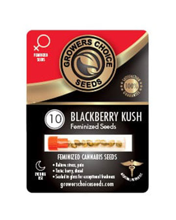 shop-for-reliable-marijuana-seeds-Blackberry-Kush-Feminized-Cannabis-Seeds-10[1]