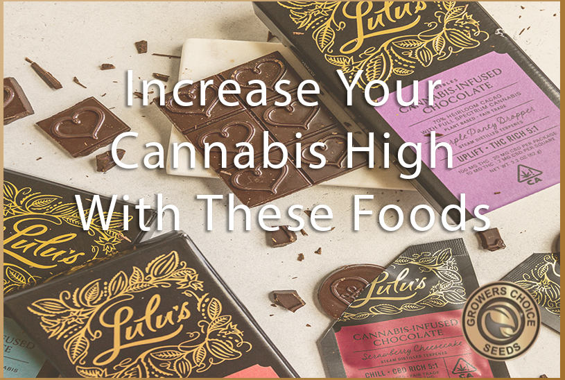Increase Your Cannabis High With These Foods