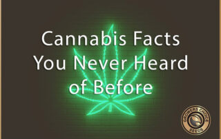 cannabis facts you never heard of before